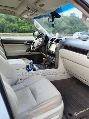 Lexus GX 460 Luxury 2019 White