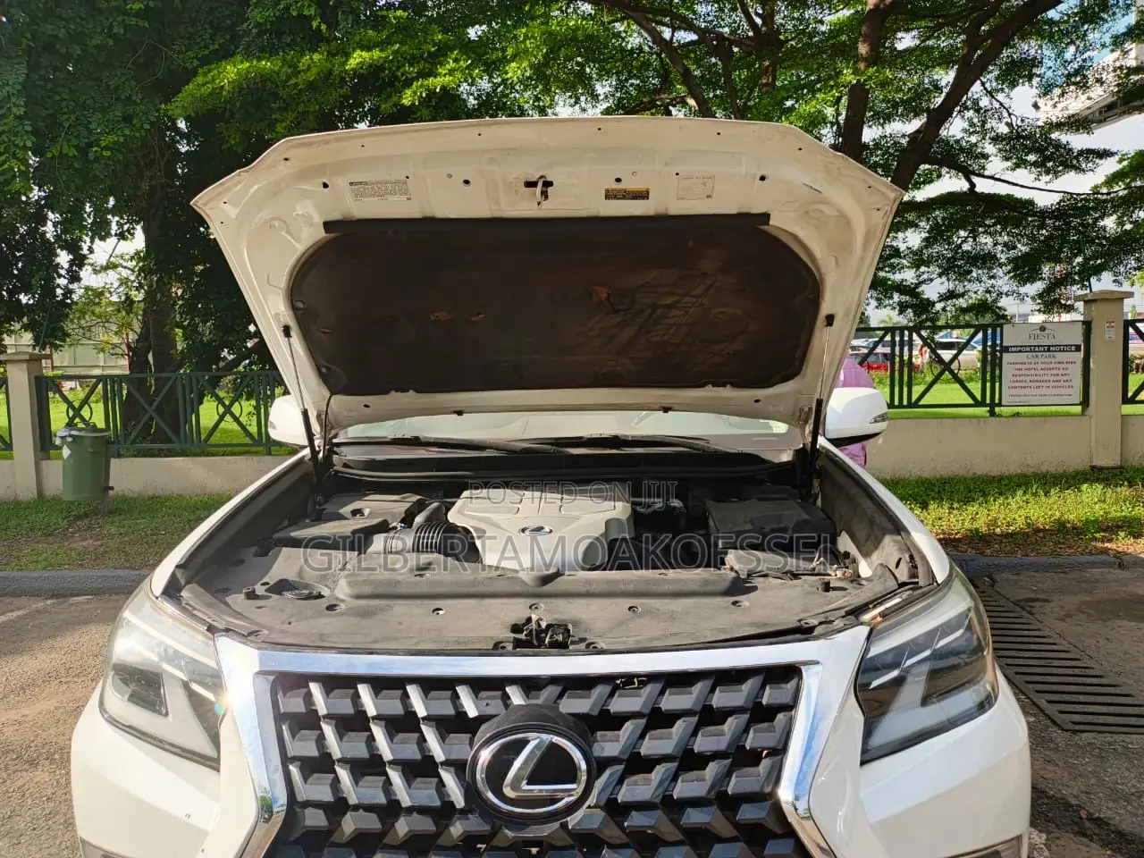 Lexus GX 460 Luxury 2019 White