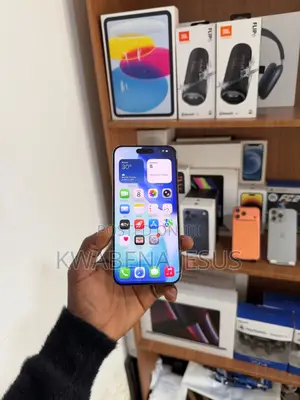 Apple iPhone 15 Pro Max 256 GB Gray