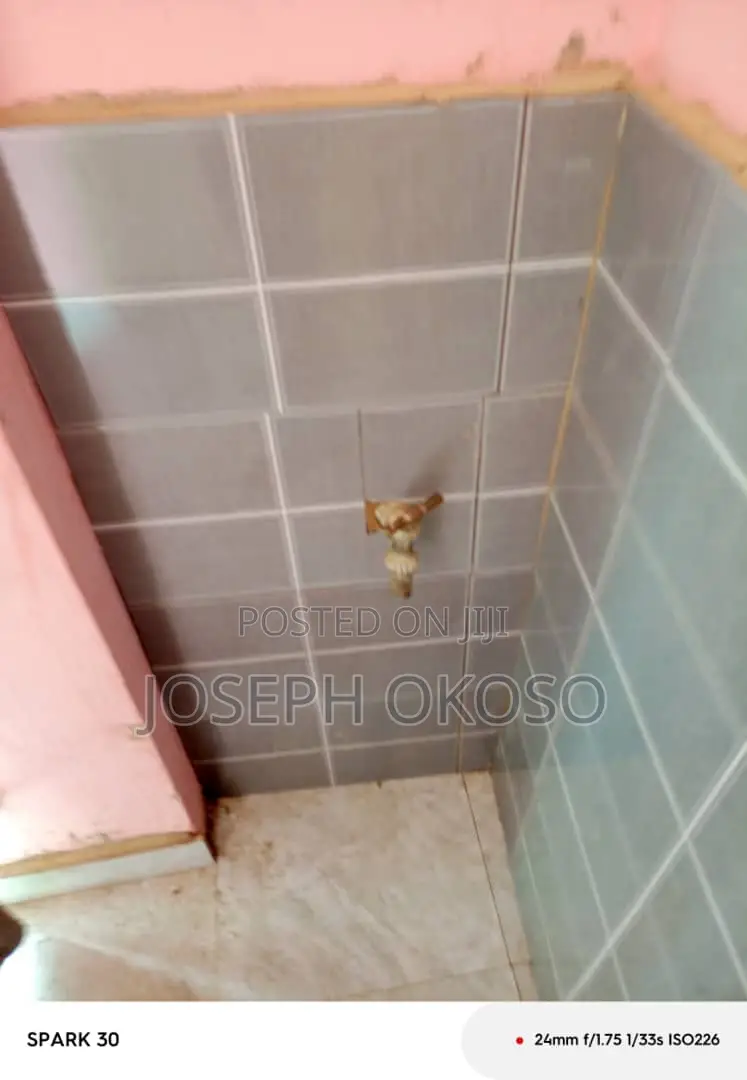 Mini Flat in Little Rock Consult, Dzorwulu for rent