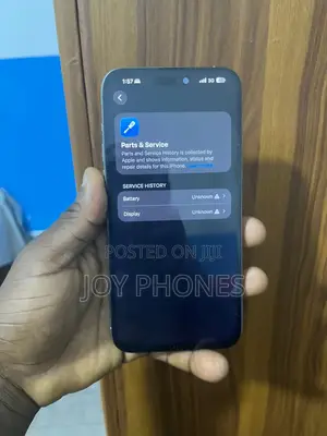 Apple iPhone 15 Pro Max 256 GB Silver