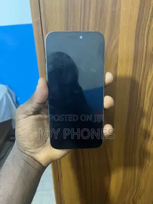 Apple iPhone 15 Pro Max 256 GB Silver