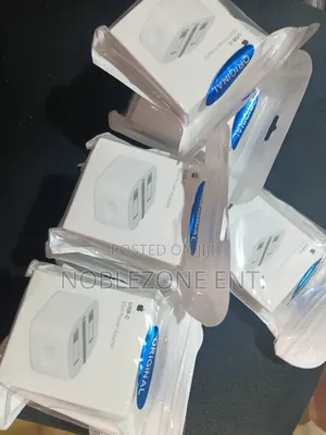 Original iPhones Charger