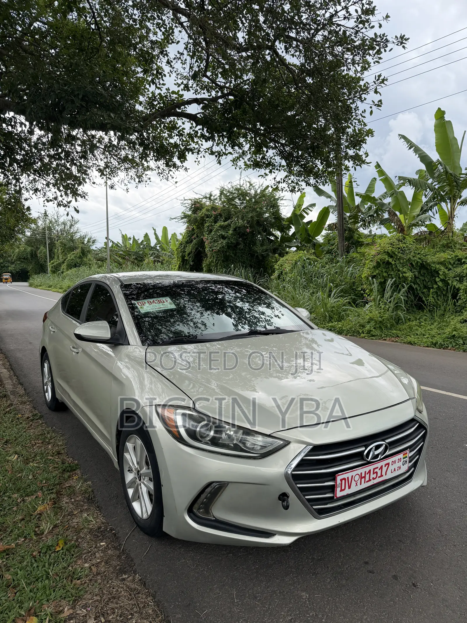 Hyundai Elantra SE Sedan FWD (2.0L 4cyl 6M) 2017 Green
