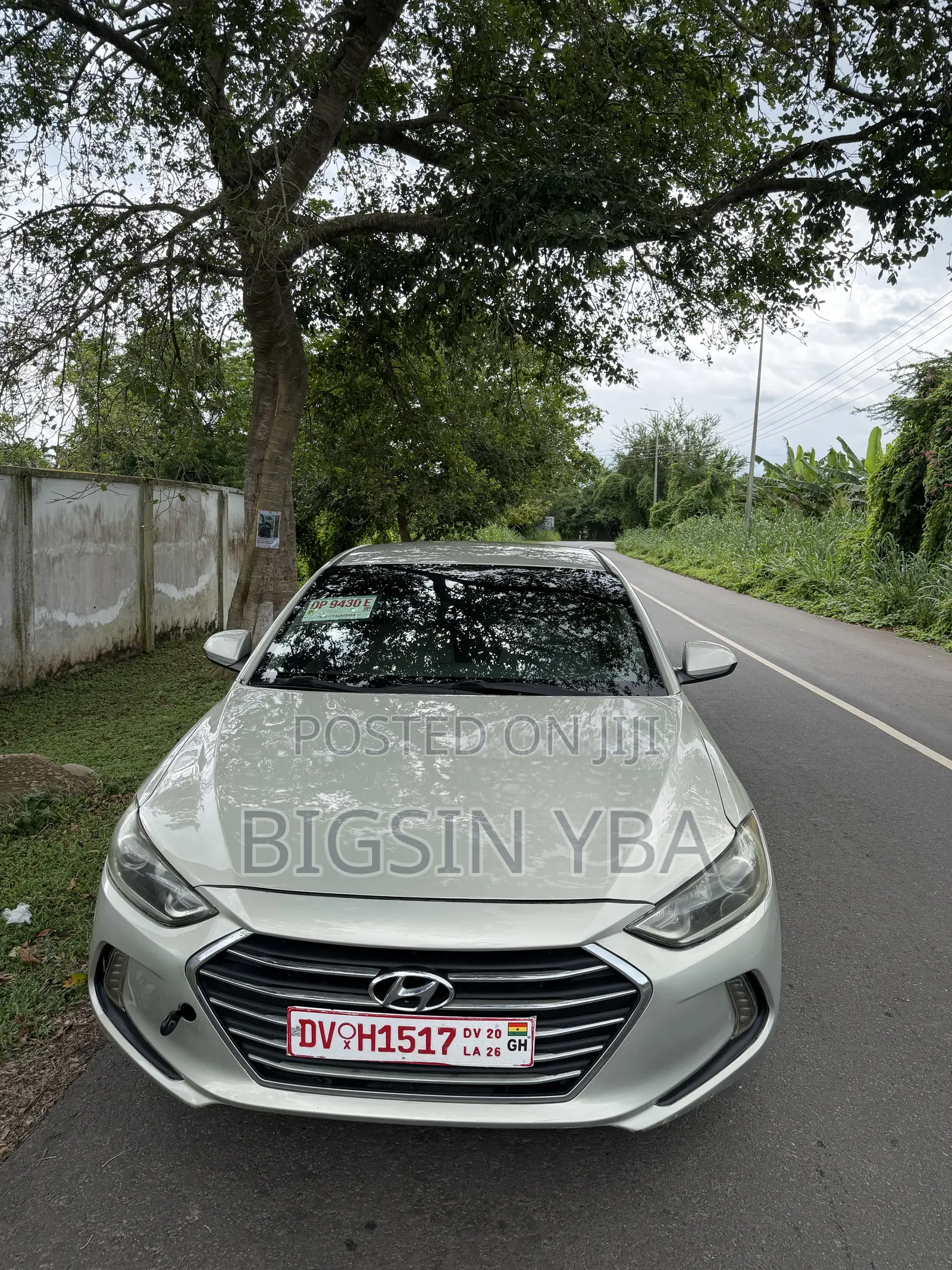 Hyundai Elantra SE Sedan FWD (2.0L 4cyl 6M) 2017 Green