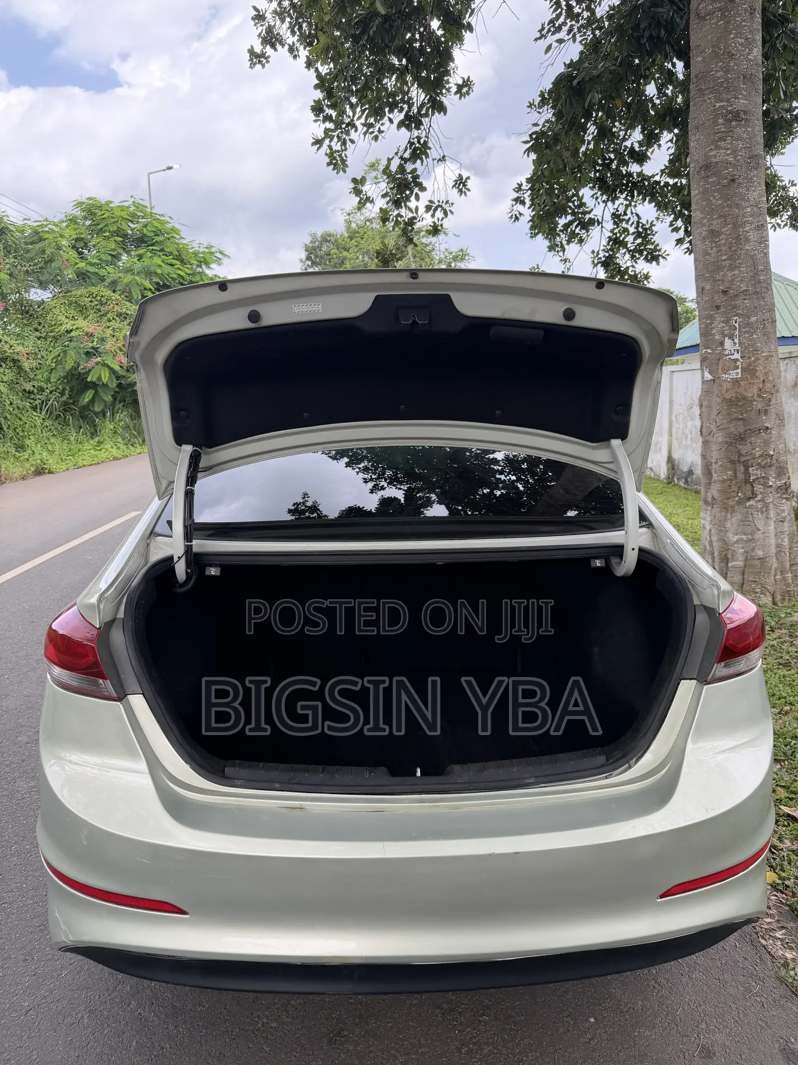 Hyundai Elantra SE Sedan FWD (2.0L 4cyl 6M) 2017 Green