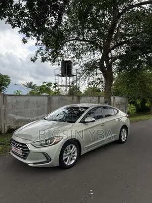 Hyundai Elantra SE Sedan FWD (2.0L 4cyl 6M) 2017 Green