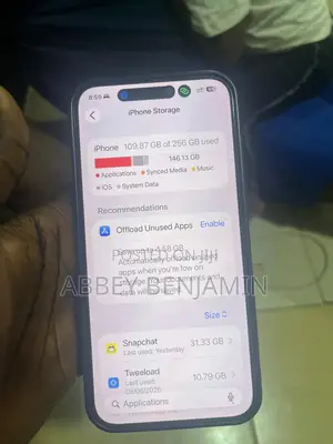 Apple iPhone 15 Pro Max 256 GB Gray