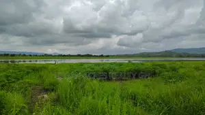 Volta Region, Tongor (Kaira) _ 4.8 Acres Irrigable Farmland
