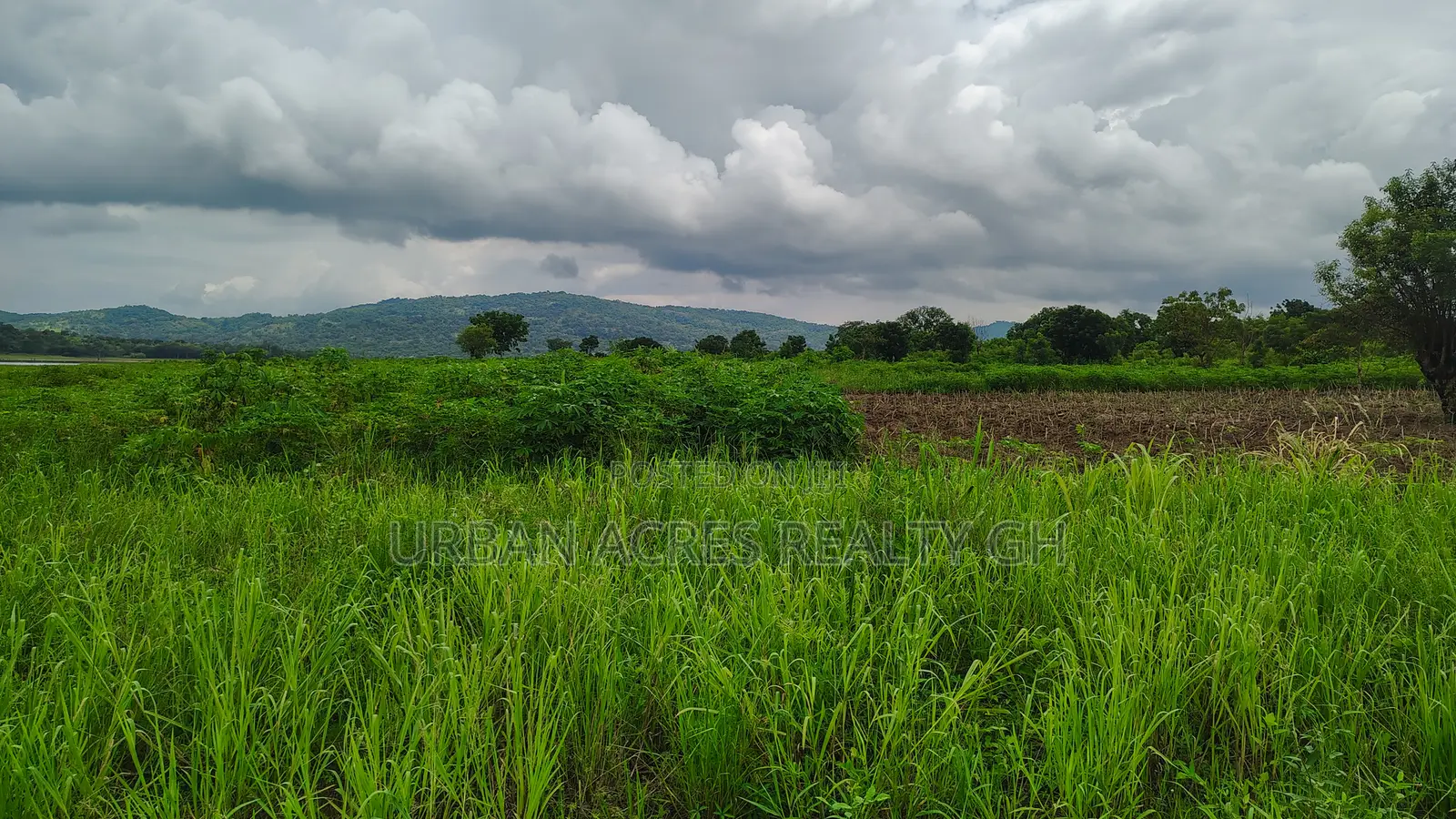 Volta Region, Tongor (Kaira) _ 4.8 Acres Irrigable Farmland