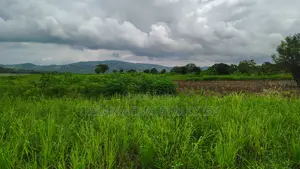 Volta Region, Tongor (Kaira) _ 4.8 Acres Irrigable Farmland