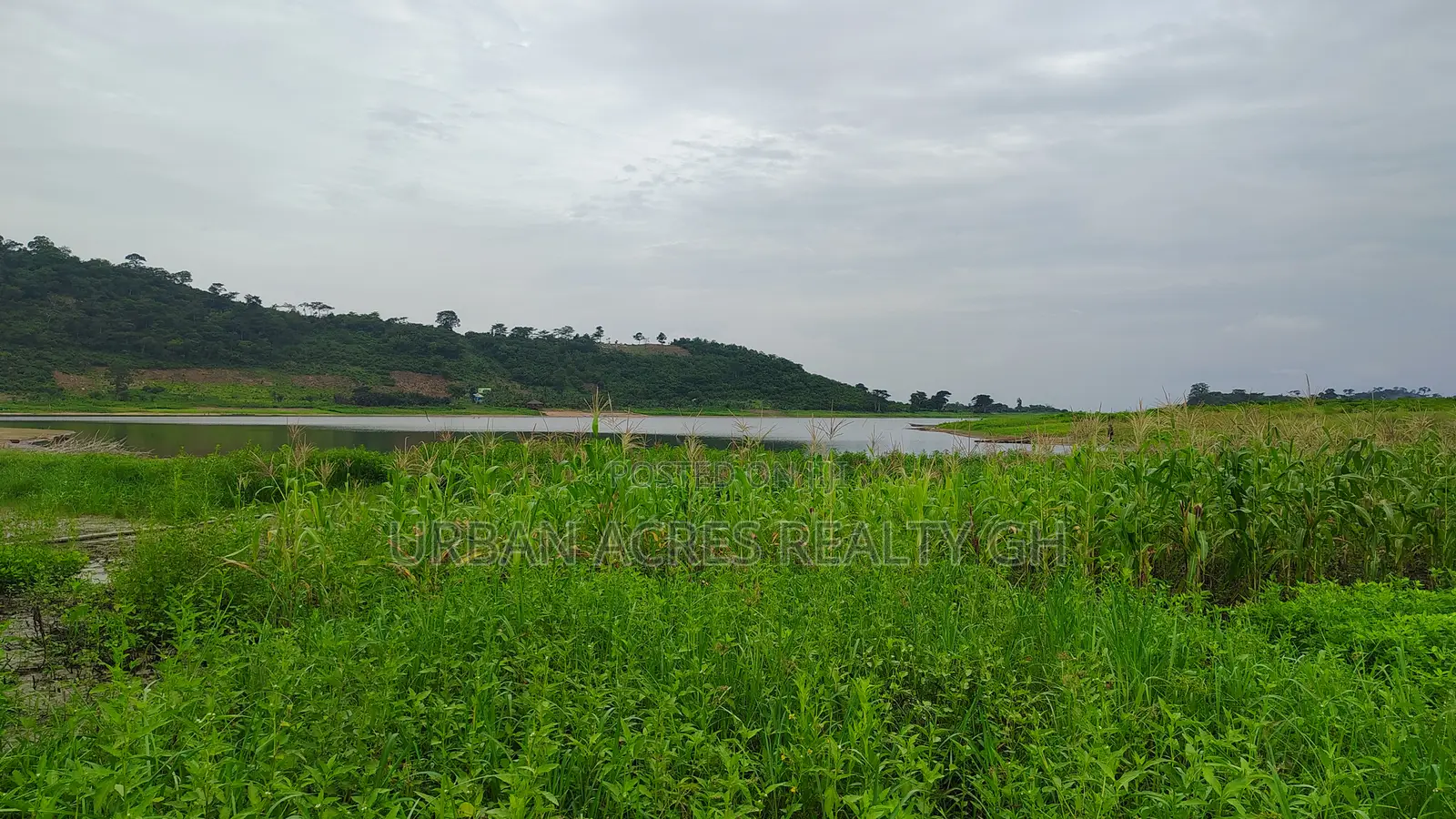 Volta Region, Tongor (Kaira) _ 4.8 Acres Irrigable Farmland