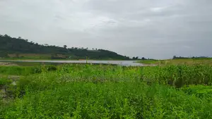 Volta Region, Tongor (Kaira) _ 4.8 Acres Irrigable Farmland