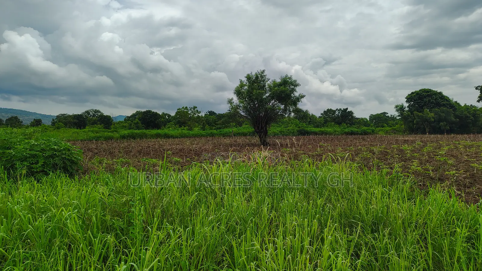 Volta Region, Tongor (Kaira) _ 4.8 Acres Irrigable Farmland