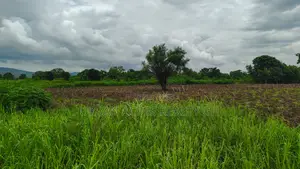 Volta Region, Tongor (Kaira) _ 4.8 Acres Irrigable Farmland