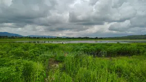 Volta Region, Tongor (Kaira) _ 4.8 Acres Irrigable Farmland