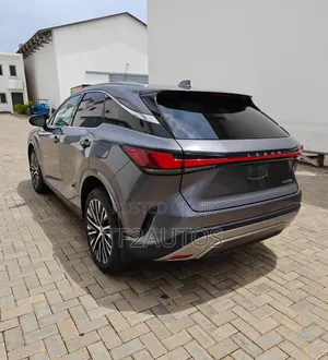 Lexus RX 2023 Gray