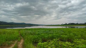 Volta Region, (Have) _ 5+ Acres Riverfront Farmland