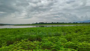 Volta Region, (Have) _ 5+ Acres Riverfront Farmland