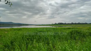 Volta Region, (Have) _ 5+ Acres Riverfront Farmland