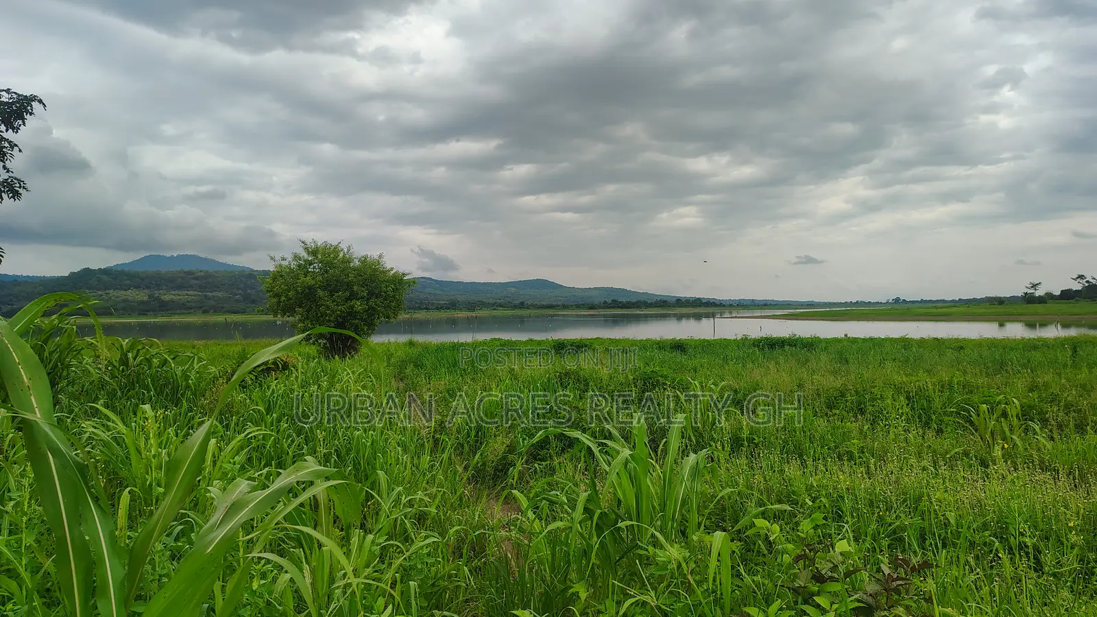 Volta Region, (Have) _ 5+ Acres Riverfront Farmland