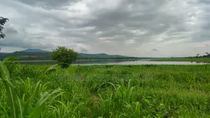 Volta Region, (Have) _ 5+ Acres Riverfront Farmland