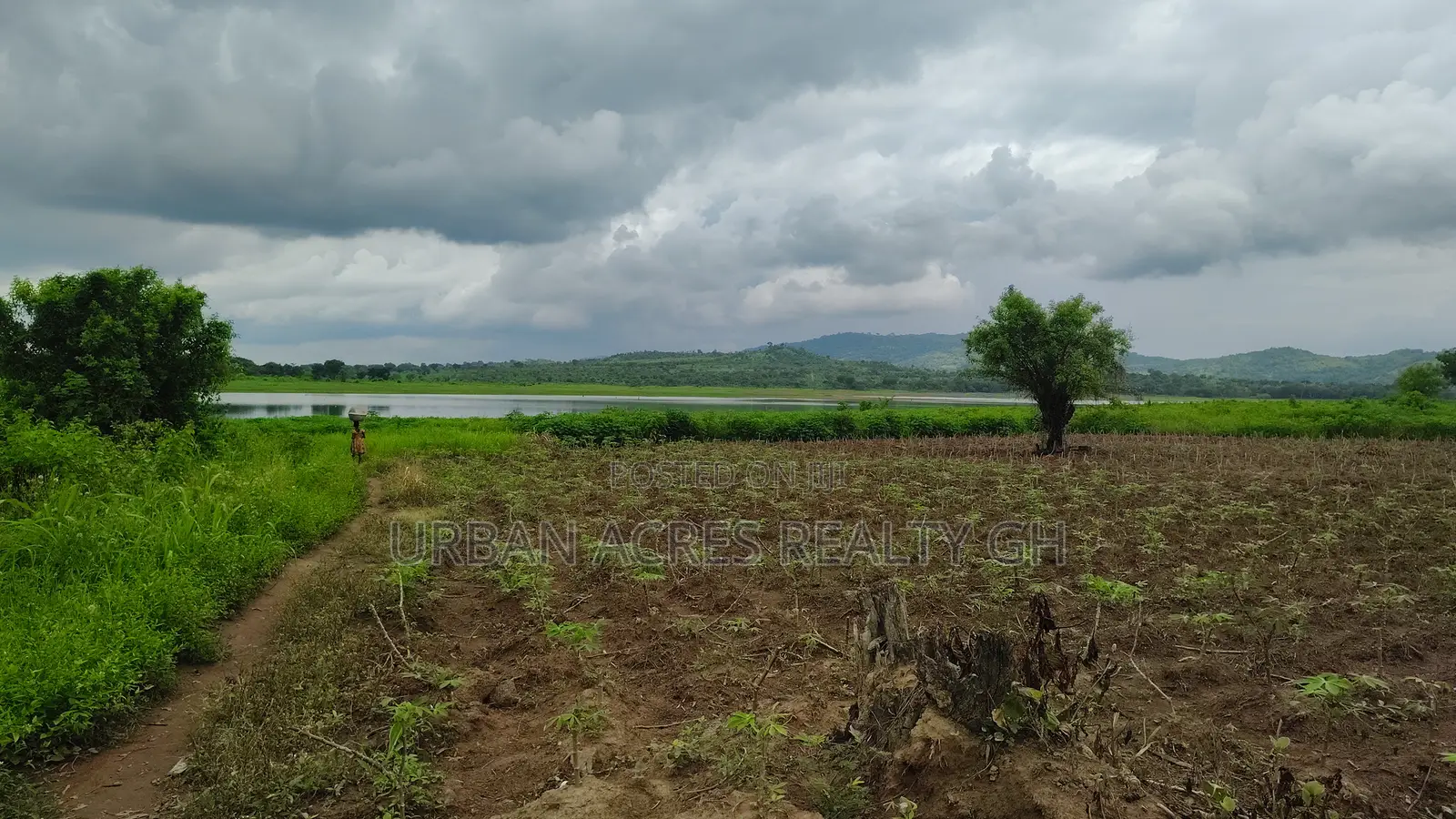 Volta Region, (Have) _ 5+ Acres Riverfront Farmland