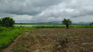 Volta Region, (Have) _ 5+ Acres Riverfront Farmland