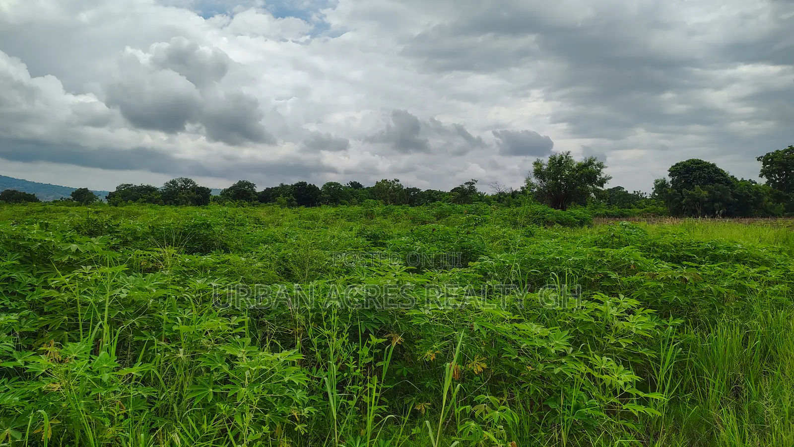 Volta Region, (Have) _ 5+ Acres Riverfront Farmland