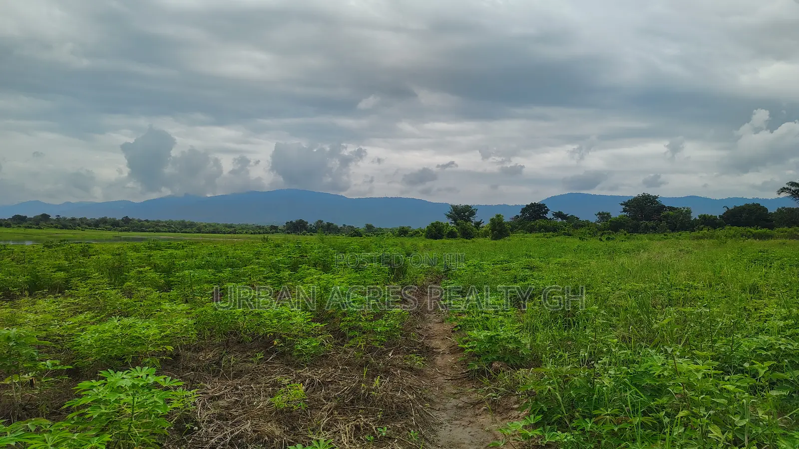 Volta Region, (Have) _ 5+ Acres Riverfront Farmland