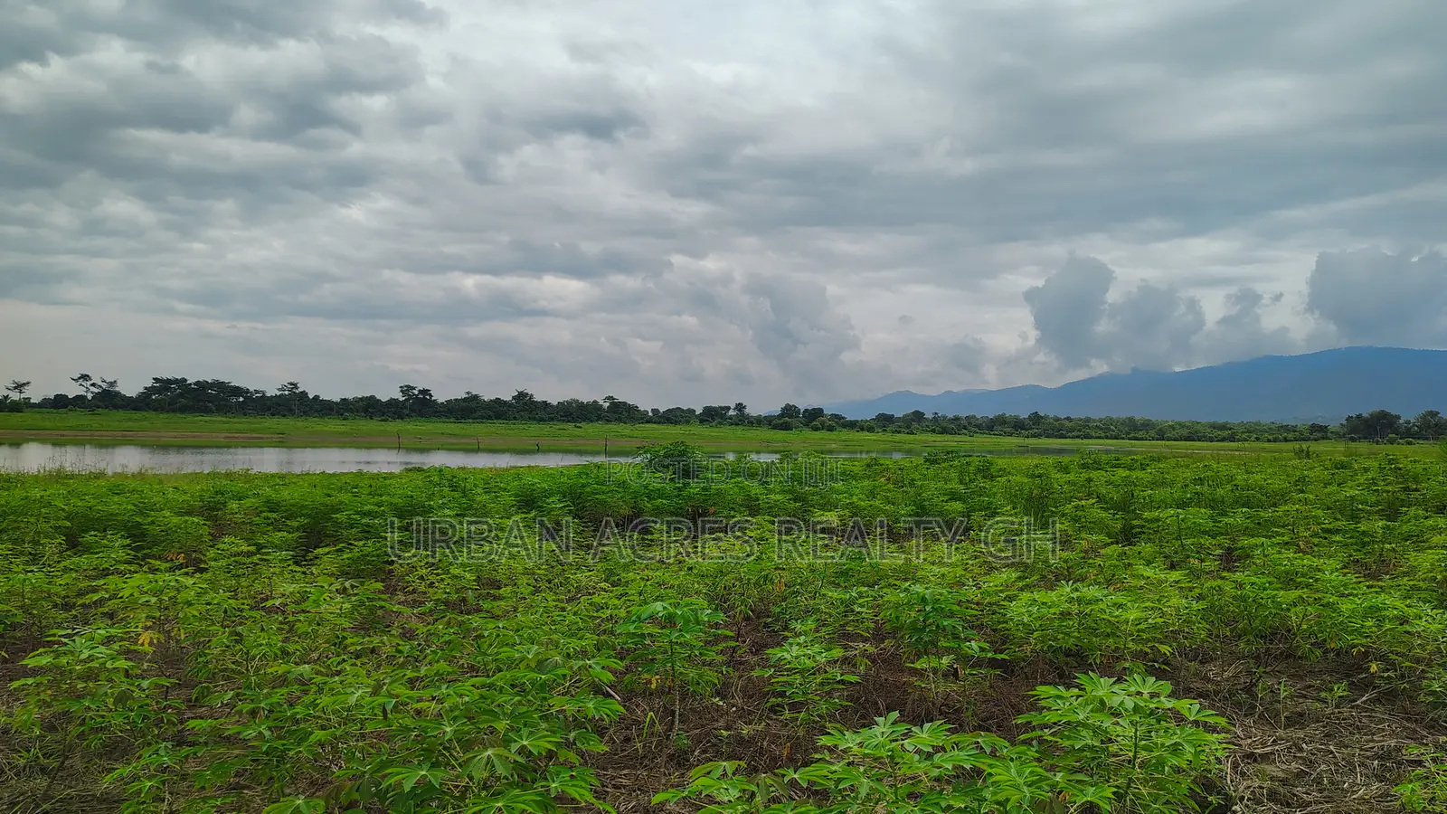 Volta Region, (Have) _ 5+ Acres Riverfront Farmland