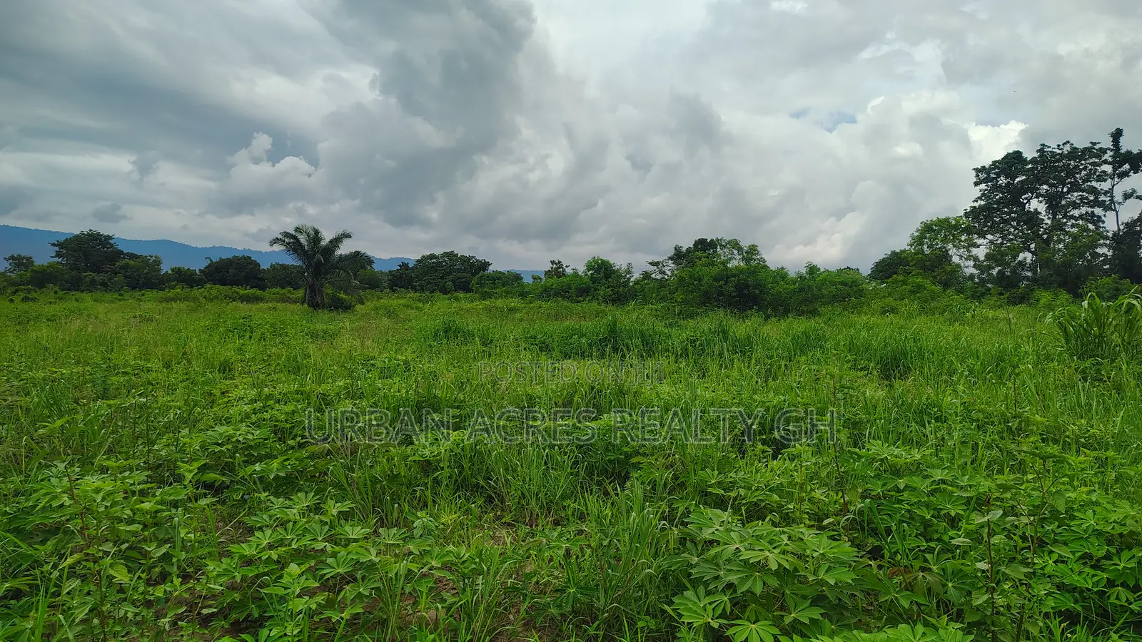Volta Region, (Have) _ 5+ Acres Riverfront Farmland
