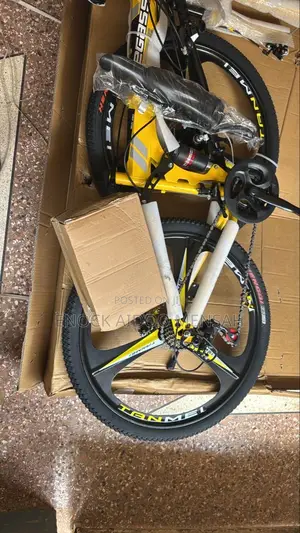 Shock Absorbing Bicycle