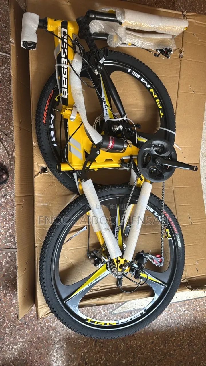 Shock Absorbing Bicycle