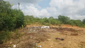 Eastern Region, Nsawam _ 100 Plots Building Land