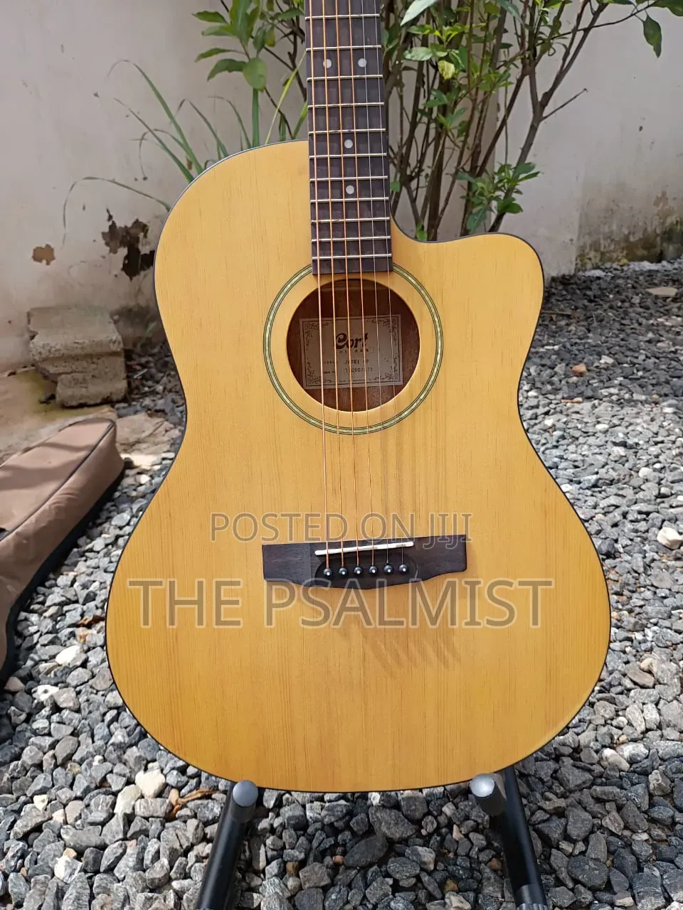 Cort Jade1 Op Acoustic Guitar With Padded Bag