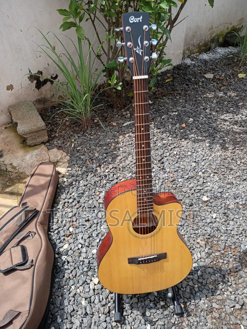 Cort Jade1 Op Acoustic Guitar With Padded Bag