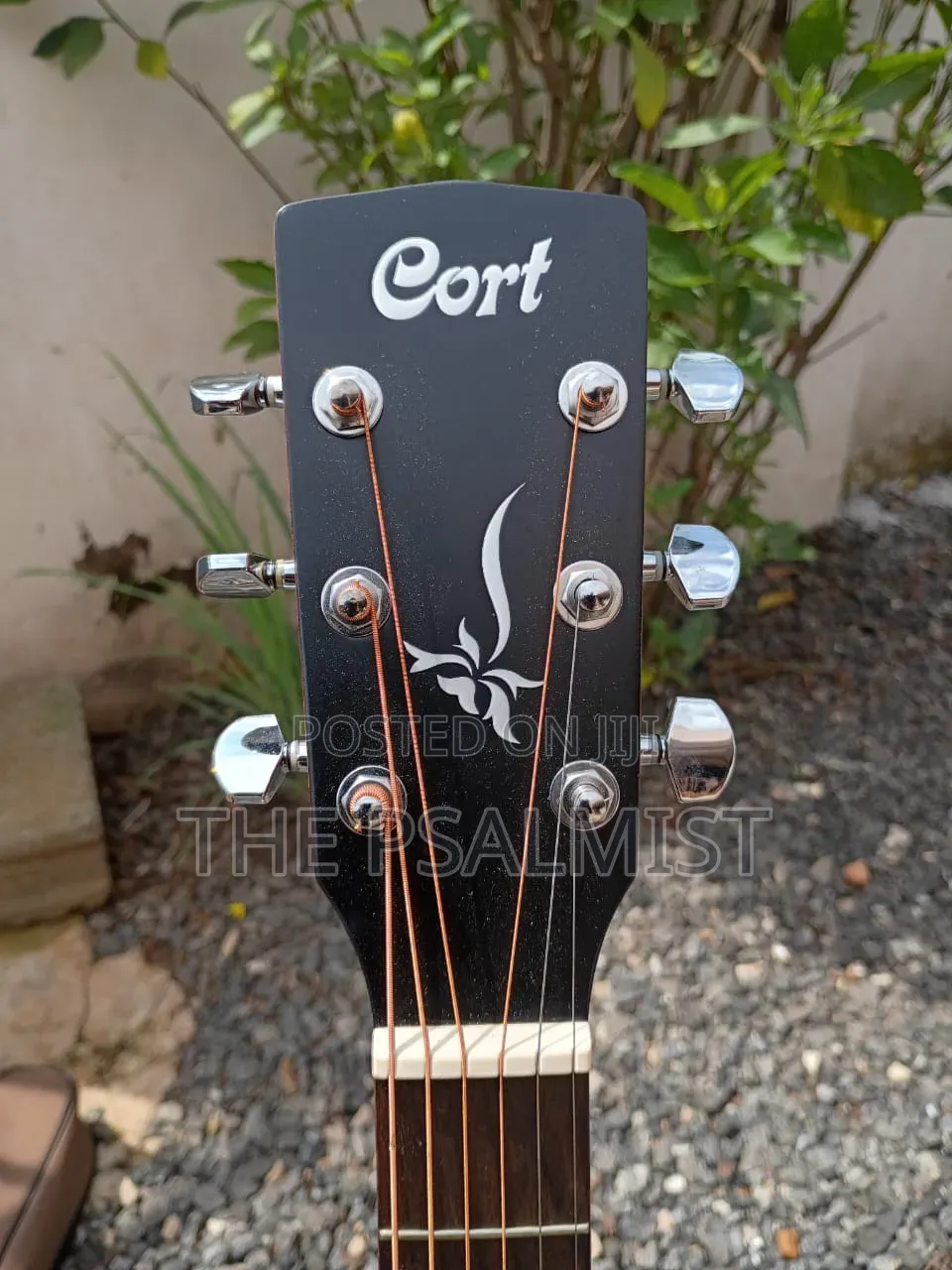 Cort Jade1 Op Acoustic Guitar With Padded Bag