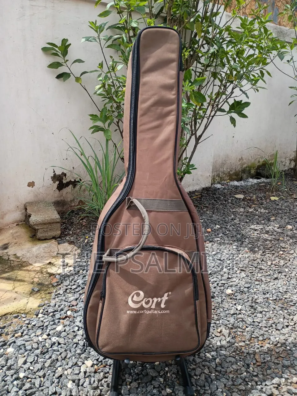 Cort Jade1 Op Acoustic Guitar With Padded Bag