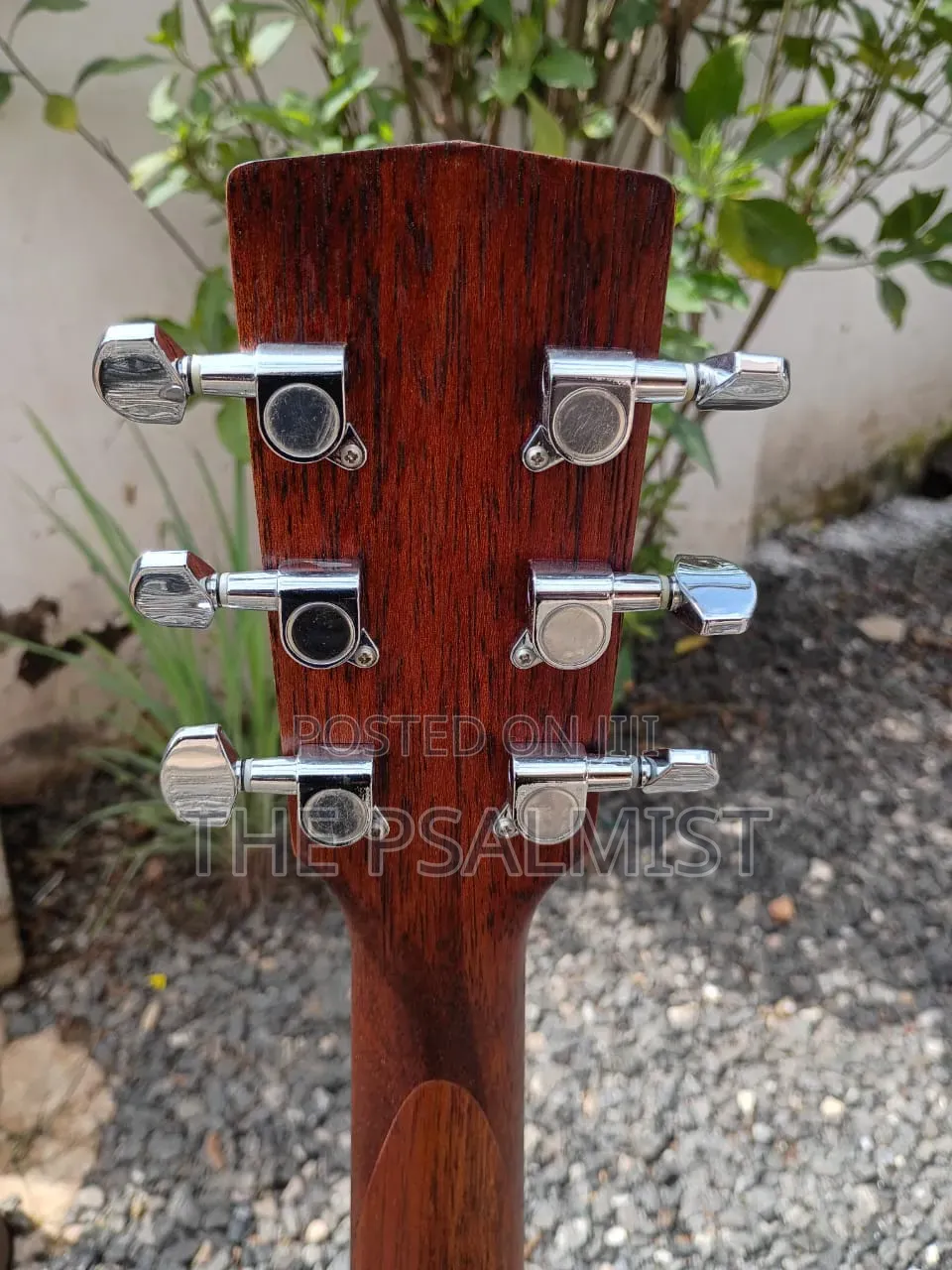 Cort Jade1 Op Acoustic Guitar With Padded Bag