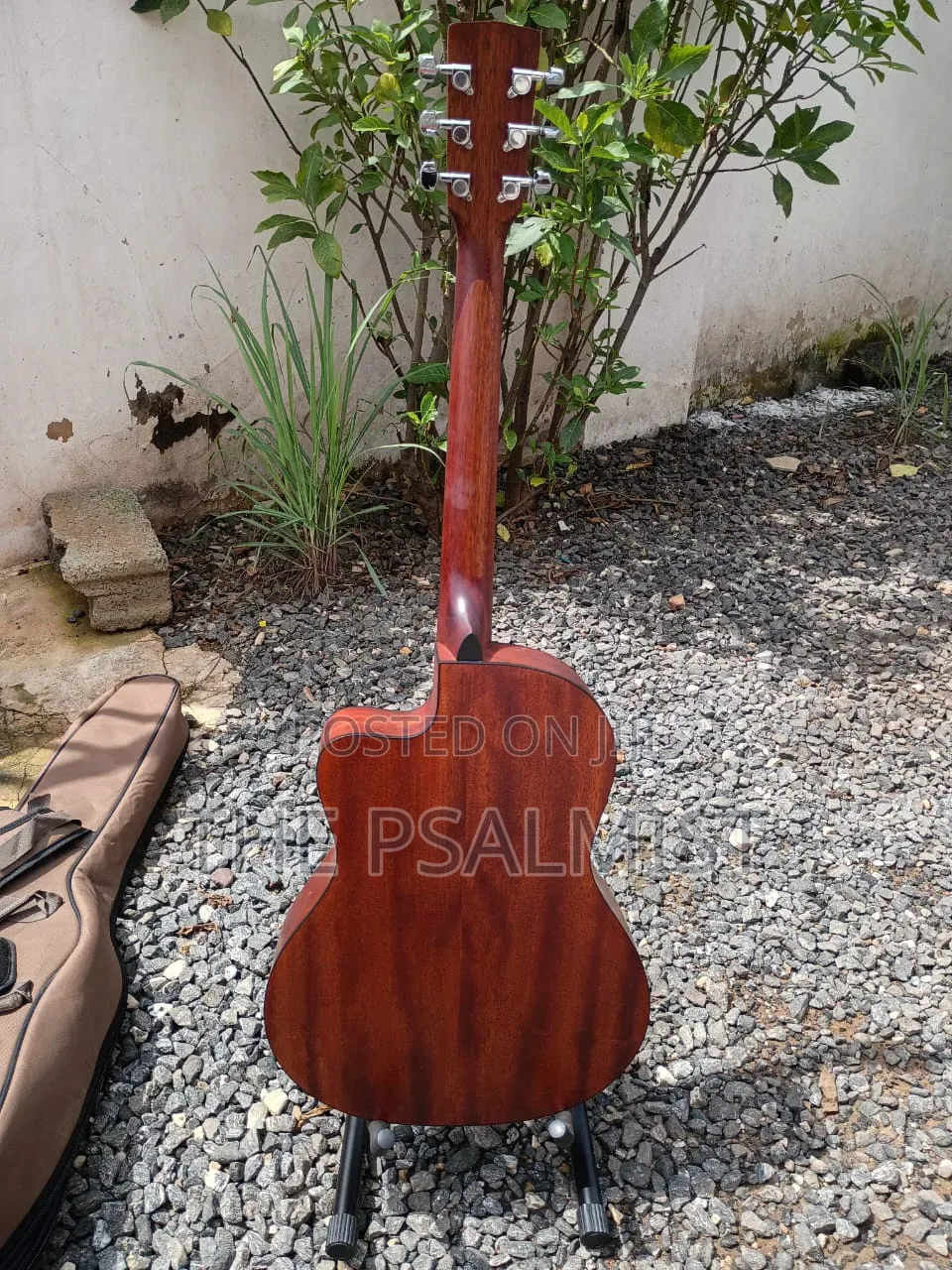 Cort Jade1 Op Acoustic Guitar With Padded Bag