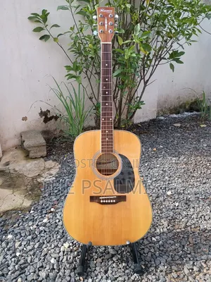 Flames Craftmanship Acoustic Guitar