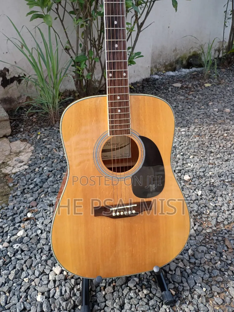 Flames Craftmanship Acoustic Guitar