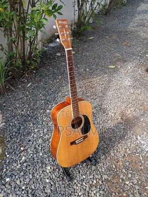 Flames Craftmanship Acoustic Guitar