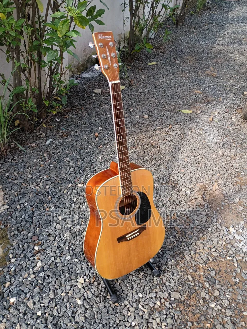 Flames Craftmanship Acoustic Guitar