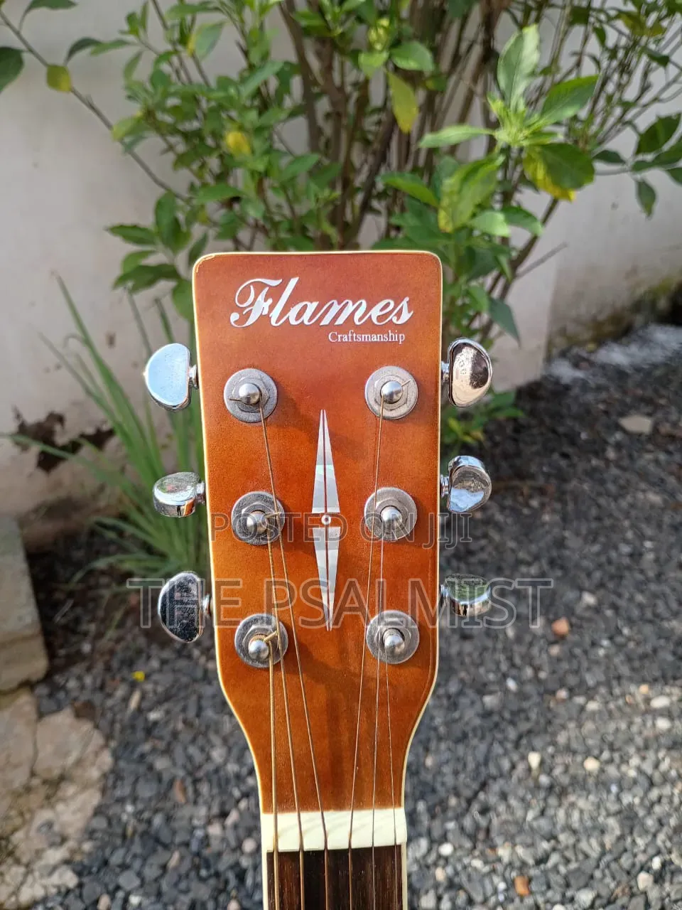 Flames Craftmanship Acoustic Guitar