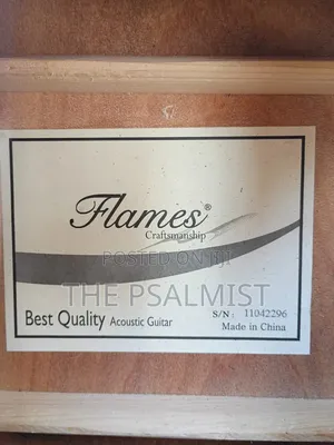 Flames Craftmanship Acoustic Guitar