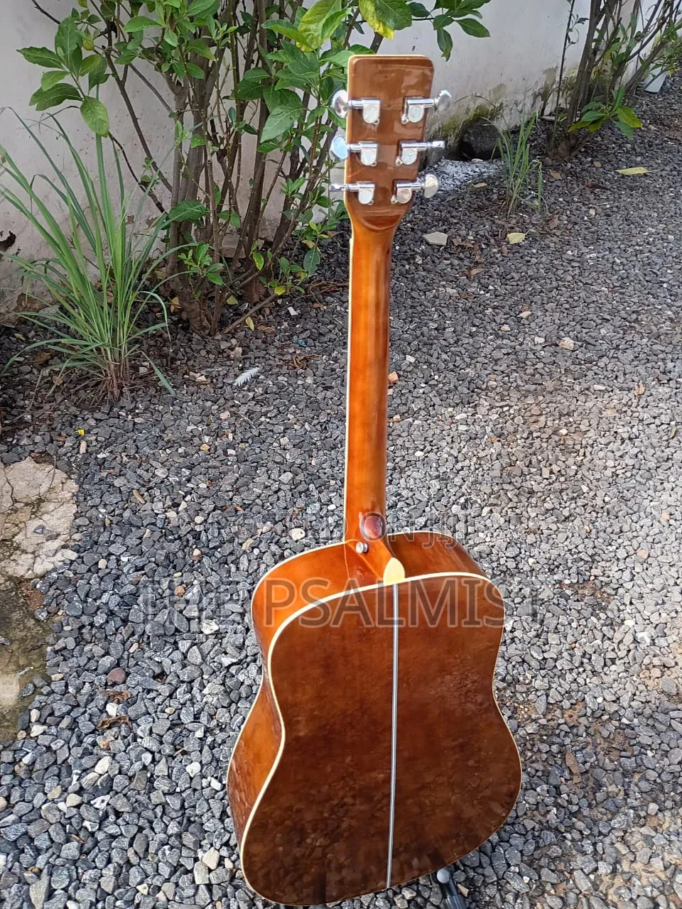 Flames Craftmanship Acoustic Guitar