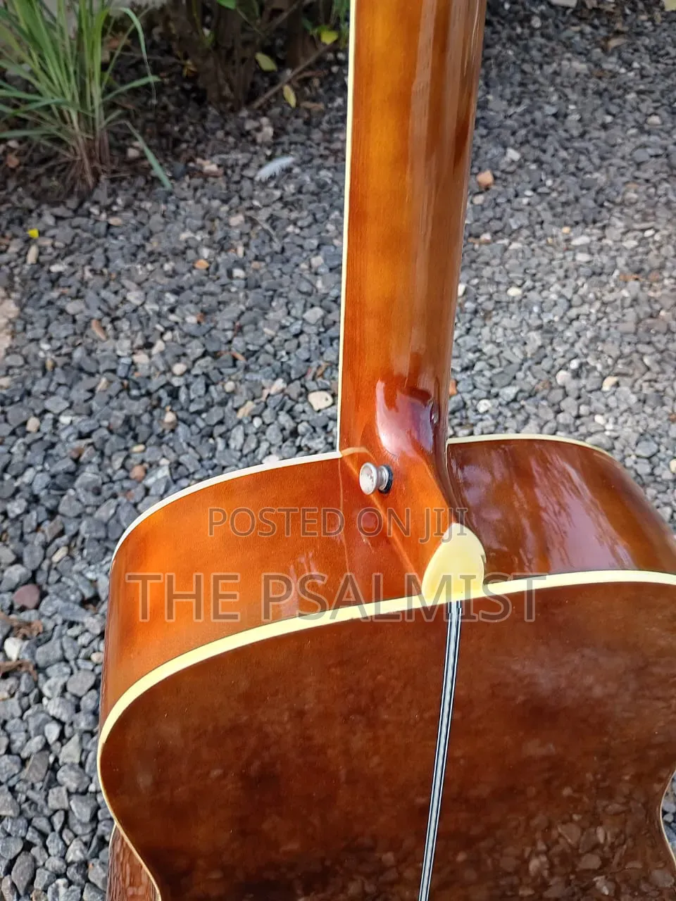 Flames Craftmanship Acoustic Guitar