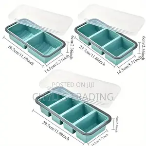 Silicone Freezer Molds